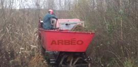 Création d'ARBÉO