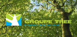 Création du Groupe Tree